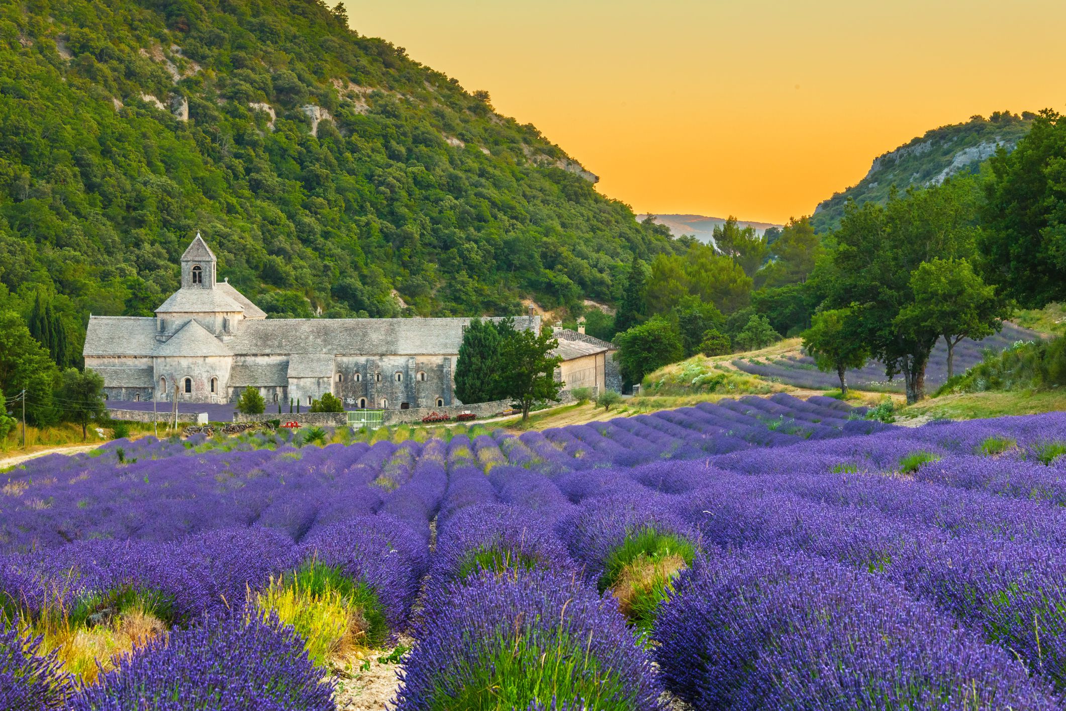 Provence 2.jpg